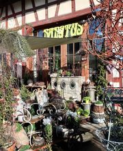 Blumen Habitus, Regula Elmer Bild 1