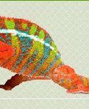 C.G.S.O Publicité SARL image 14