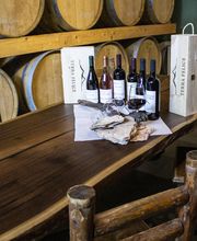 Gallery Professionale