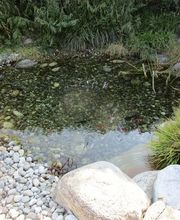 Art & Giardini Sagl Bild 8