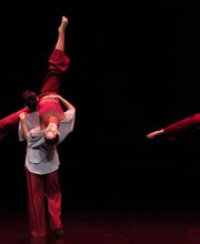 LA ZONE A DANSER image 8