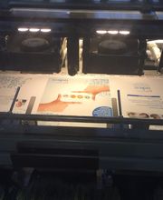 Polyservices image 18