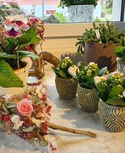 Blumen und Pflanzen Bild 11