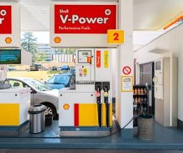 Shell Bild 1