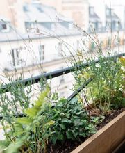 Docteur Laurent Taton image 5