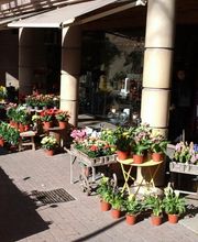 Espace Fleurs image 5