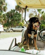 Sabin Marketing and Promotions image 1