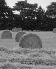 Vanhoutte Arnaud image 3