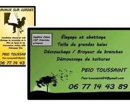 Toussaint Peio image 6