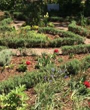 Browder-Hite image 3