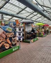 HORNBACH Gartencenter Bornheim Bild 3