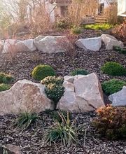 Daniels Baum- & Gartenservice Bild 14