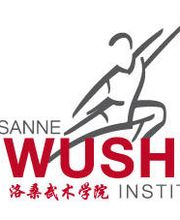 Association Lausanne Wushu et Boxing Institut Bild 2