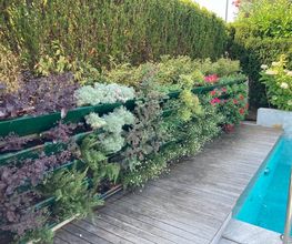 Galli Garden Sagl Bild 9