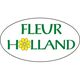 Fleur Holland Blumen