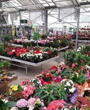 Serres Du Vivier Guyon Les image 1