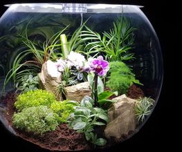 Chabrat Paysage Piscine image 11