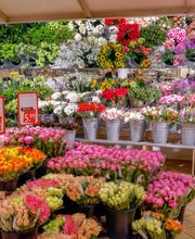 DekaMarkt Haarlem afbeelding 6