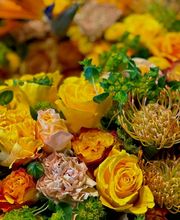 Köpfer Blumenhaus GmbH Bild 1