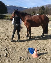 L.deRham Equitation Bild 1