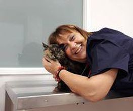 Arca Veterinaria imagen 20