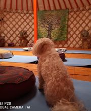 CENTRE SHENYU image 17