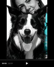 Txapoteando Felices Peluquería canina y felina imagen 13