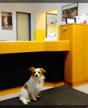 Winking, Tamara Bild 1