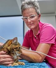 kompleTIER AG Bild 2