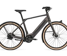 E-Bike-Leasing.eu | Wismar Bild 9