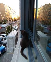 300868650-1-tzfa0wDN7J1779443577141.jpeg