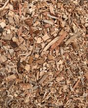 IMG_5394.jpeg