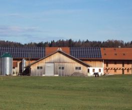 Bild21.jpg
