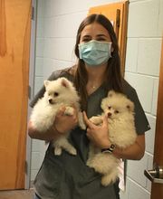 Barta Animal Hospital image 10