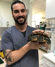 Irvine Valley Veterinary Hospital Emergency image 5