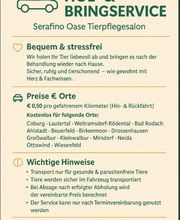 Screenshot 2025-10-23 173233.png