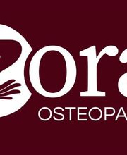 Zora Osteopathie Linden - Gießen Bild 8