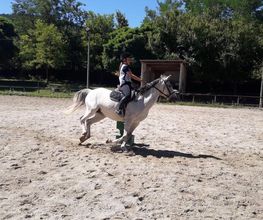 Centre Equestre De La Guérinière image 1