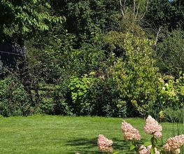 Hausmeisterservice & Gartenstyling Bild 3