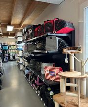 Affaire De Pattes image 3