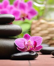 Moreaux Anne image 5