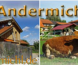 Andermichlhof Bild 8