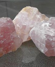 Belle Plaine Animal Hospital image 14