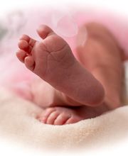 Fotos by Peter Bild 4