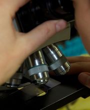 Laboratoire Victor Hugo - Spécialisé AMP - Paris 16e -  BIOGROUP PARIS OUEST image 8