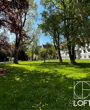 LOFT - COACHING | BREATHWORK | YOGA Bild 6