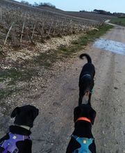 Le Monde de Sultan image 14