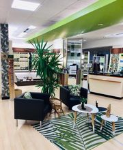 Le Collectif des Lunetiers image 3