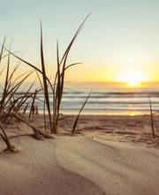 Naturheilpraxis Andrea Heeg - Heilpraktikerin Bild 1