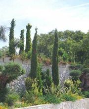 Fantastic Gardens imagen 7